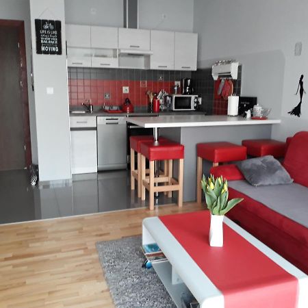 דארלובקו Przytulny Apartamencik מראה חיצוני תמונה